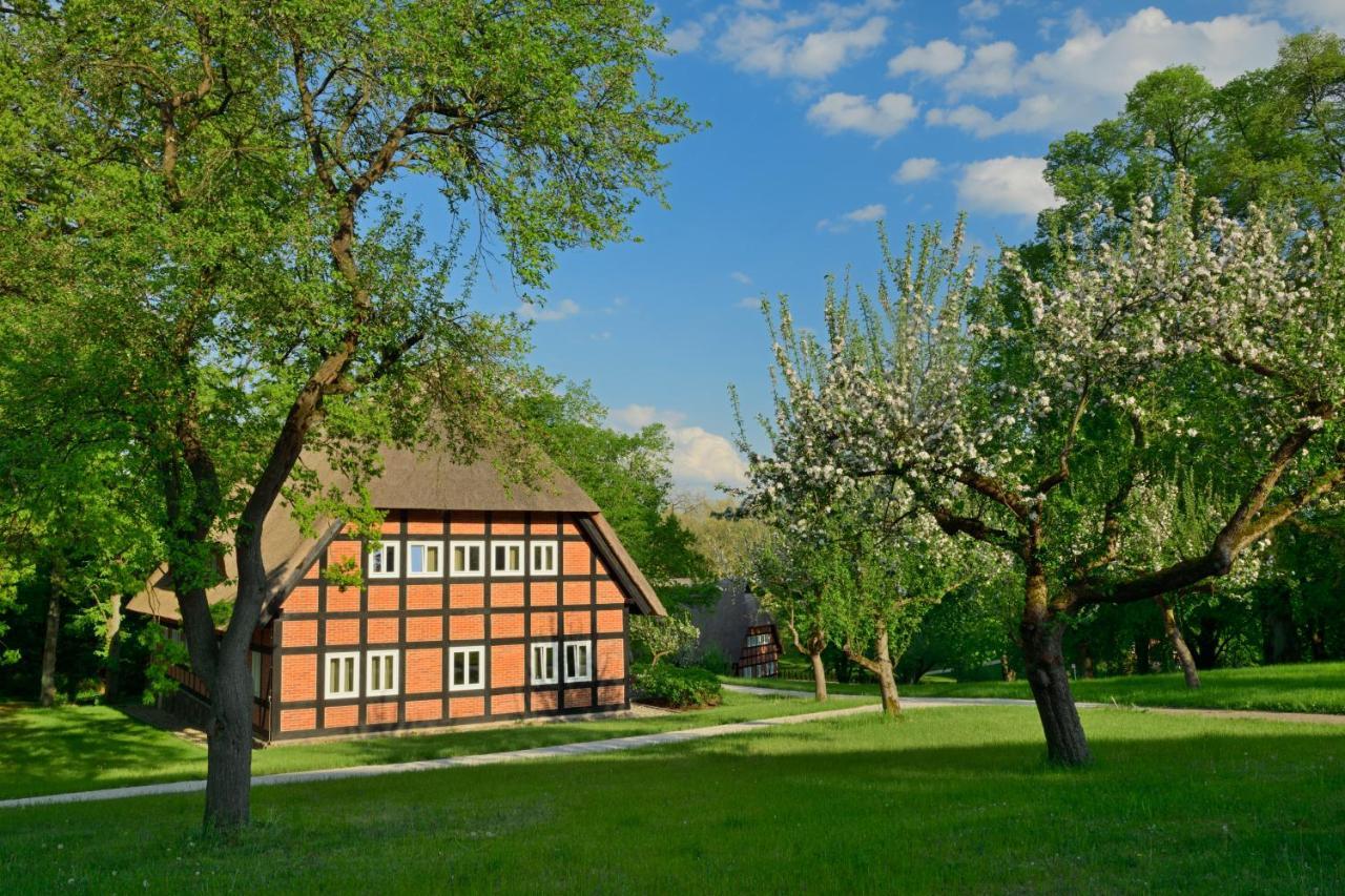 Hotel Park Am X Nattika Ayurveda, Health Spirit Penzlin
