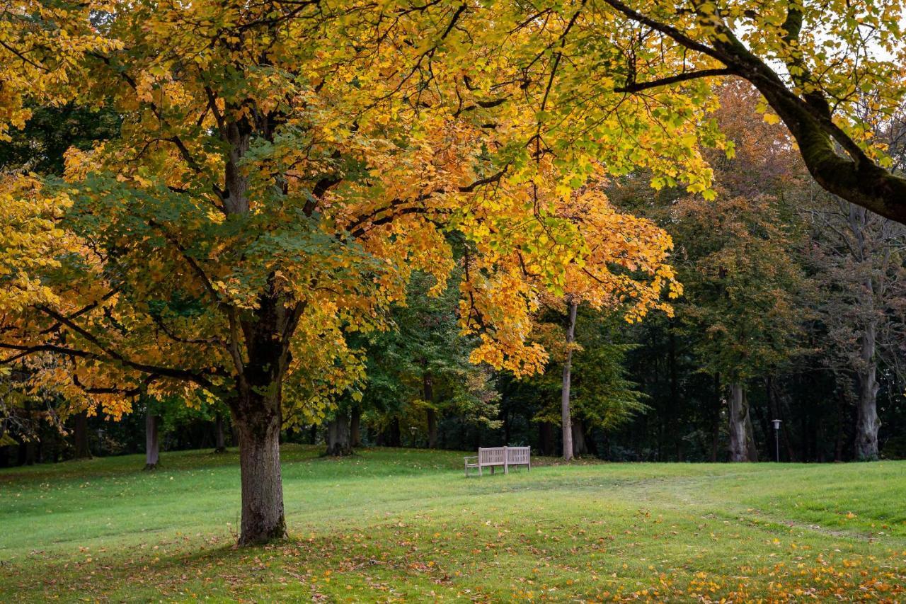 Park Am X Nattika Ayurveda, Health Spirit Hotel Penzlin